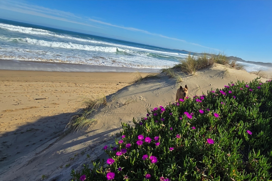 0 Bedroom Property for Sale in Brenton On Sea Western Cape